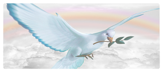 DNSEMP-L-116-D-WT Dove Clouds White